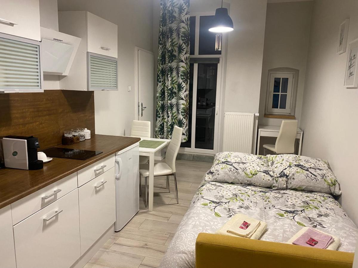 Апартаменты Przytulna Kawalerka 10Min Pieszo Od Dworca/Galerii Катовице Экстерьер фото